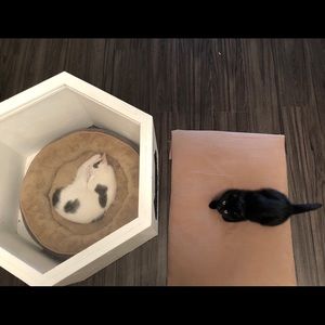 Meet your Posher, Fion